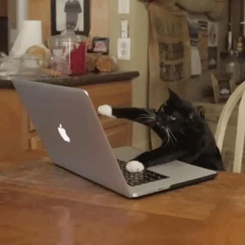 A gif image of cat typing fast on a laptop